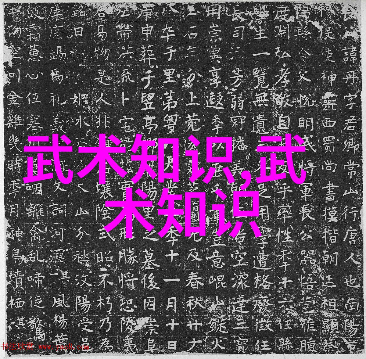 24式太极拳分解动作教学我来教你一招一式如何掌握这门古老武术的精髓