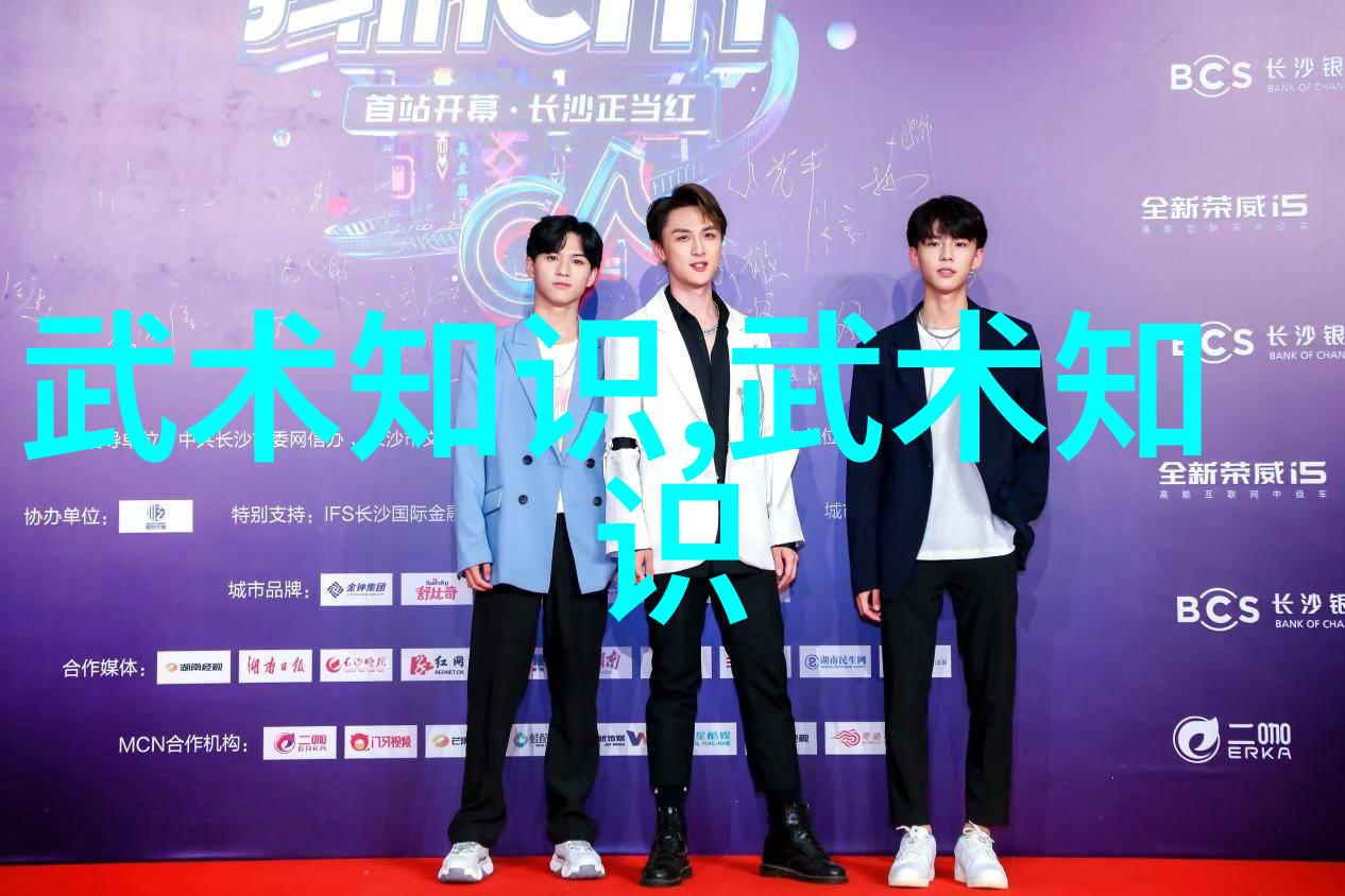 从杨家将到醉仙风探寻中国武术十大拳法背后的故事