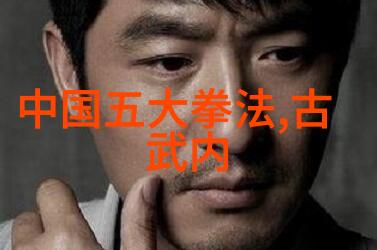 太极功夫秘籍社会拳论大集合
