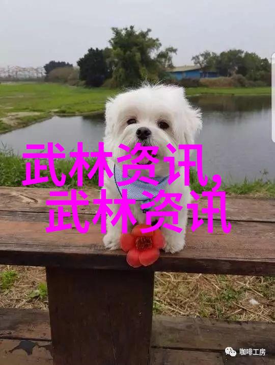 哪门武术最厉害疯拳舞动哪门武术最强大震撼世界