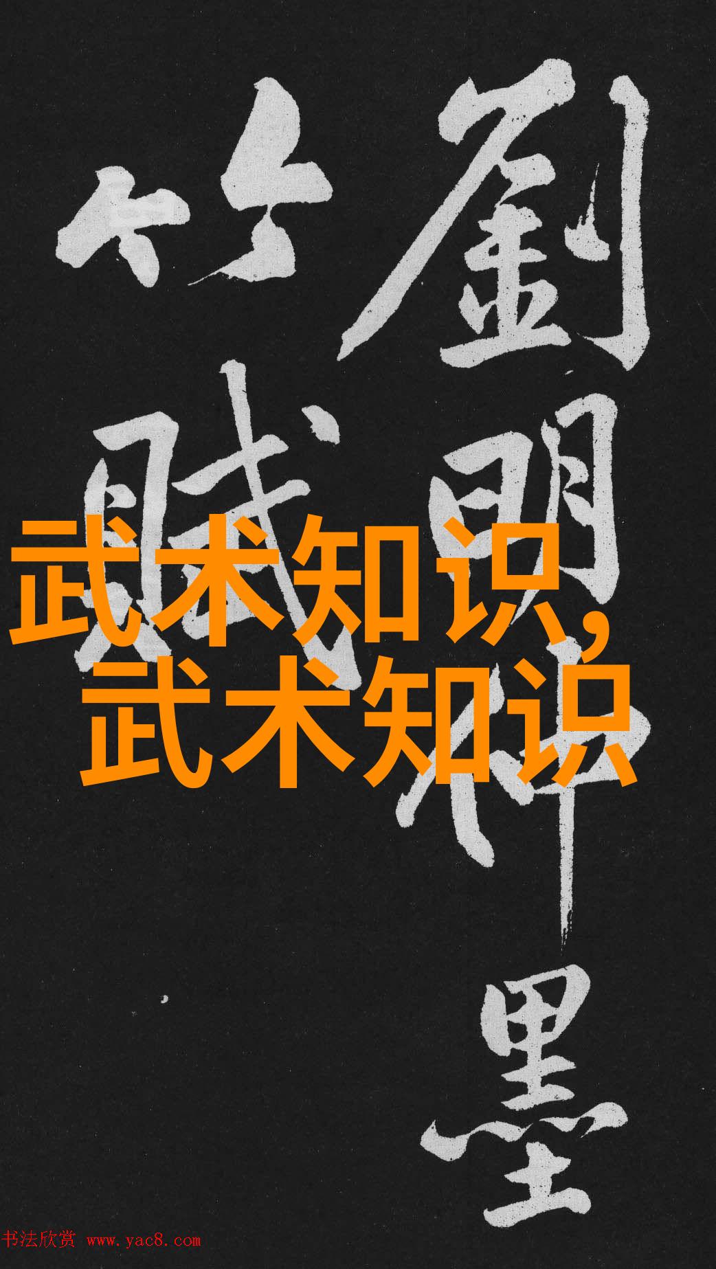 武林人物研究解读内丹术士的道德与实践