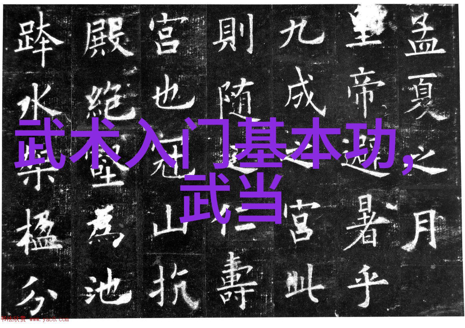 男人眼中的女人武功好女拳手的魅力与技巧