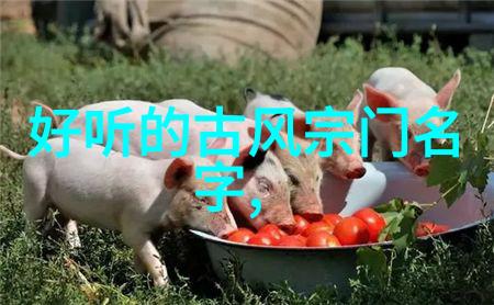 欧洲最强Rapper潮流的喷涌视频