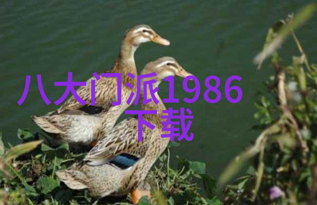 门派拳种藏拳