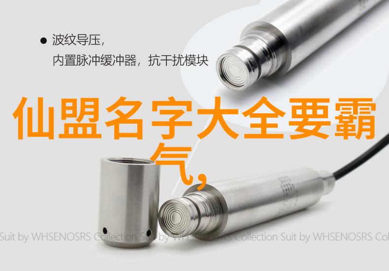 武林秘籍揭秘中国功夫的深邃艺术与内在力量