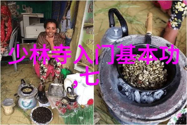 揭秘中华武学中国功夫秘籍大全的奥秘与实践