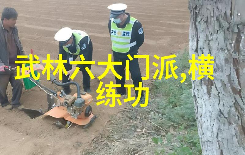 霸道帮派领主的影子