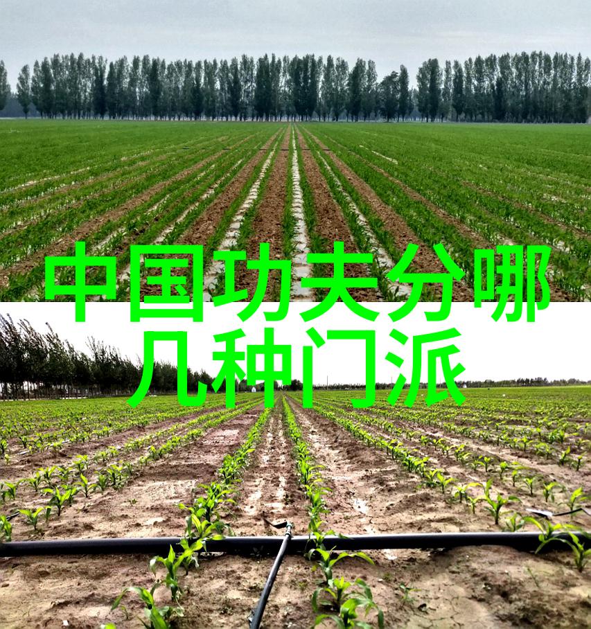 神秘世界的大局观察者解读一二三四五的角色定位