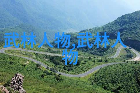 第四届世界杯散打武术比赛 中国参赛选手鄂美蝶图文
