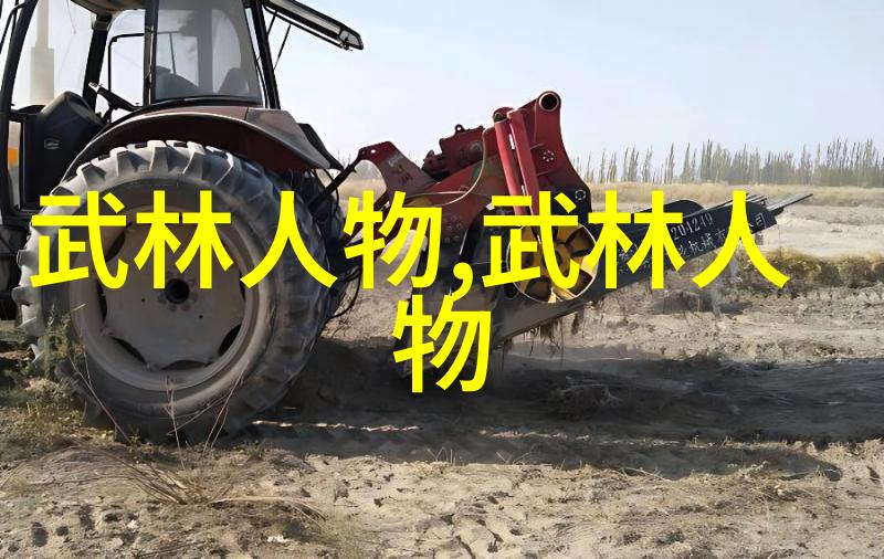 中华武林巅峰揭秘中国十大最强内功