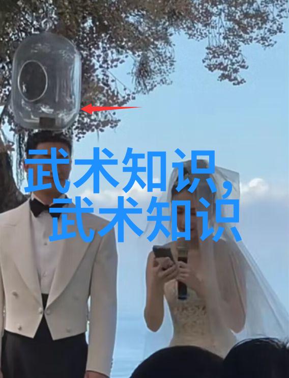 武林绝技全集内含各种传统和现代武功