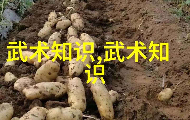 古武秘籍中的绝技与内功法则