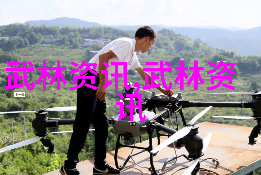 青年学子眼中的真武术对现存各大流派的深度剖析
