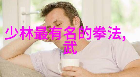传统与创新中国武术十大门派的现代实践