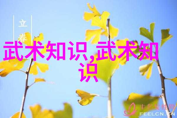 武功秘籍大全-拳法精髓揭秘古老武林的掌门之道