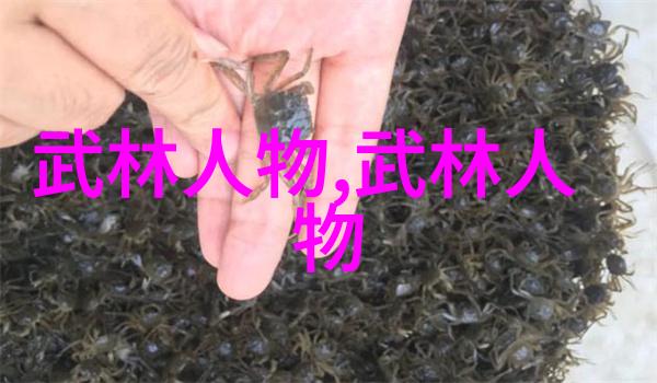 武林门派哪个最厉害-江湖纷争揭秘武林十大门派之巅峰