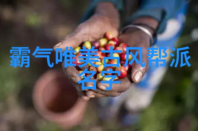 武功门派都有哪些-探秘江湖揭秘武林各大门派的奥秘与传承