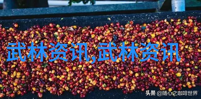 武林秘笈揭秘古老功夫的传承与实践
