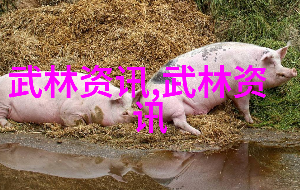探索中国武术宝库揭秘各大流派的奥义与魅力