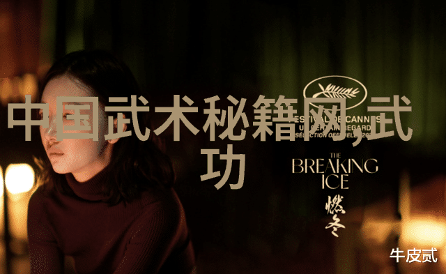 南拳与华拳哪个更为强大探究两者技艺对比