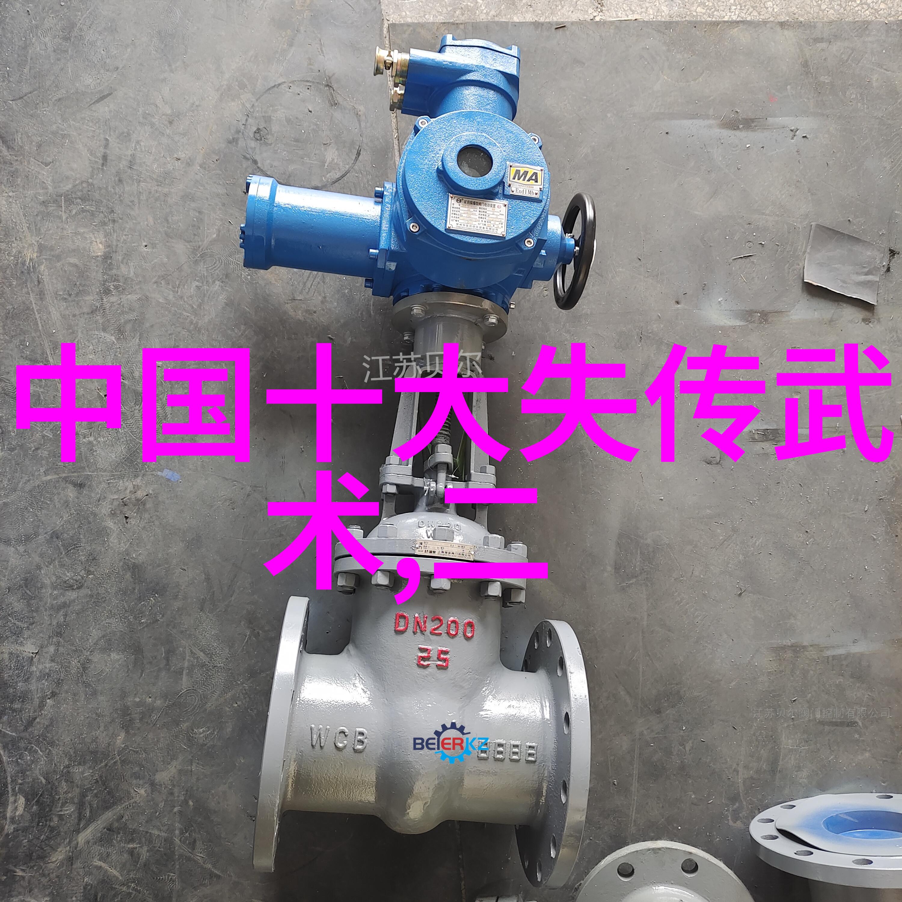 武术自学大集社会适用的拳论知识库