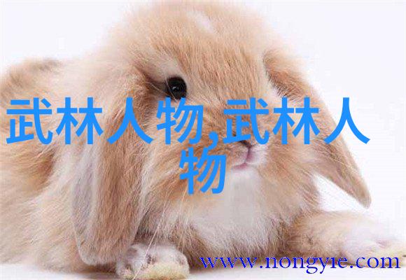 太极拳24式图解视频动静相融的艺术之旅