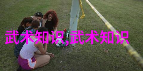 内功外运中国武功的灵魂探索