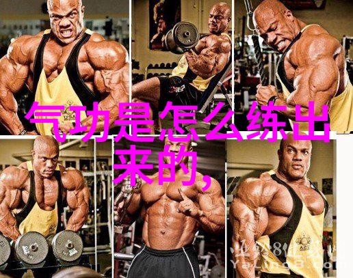 武林门派纷呈揭秘江湖中隐世神功的传承者