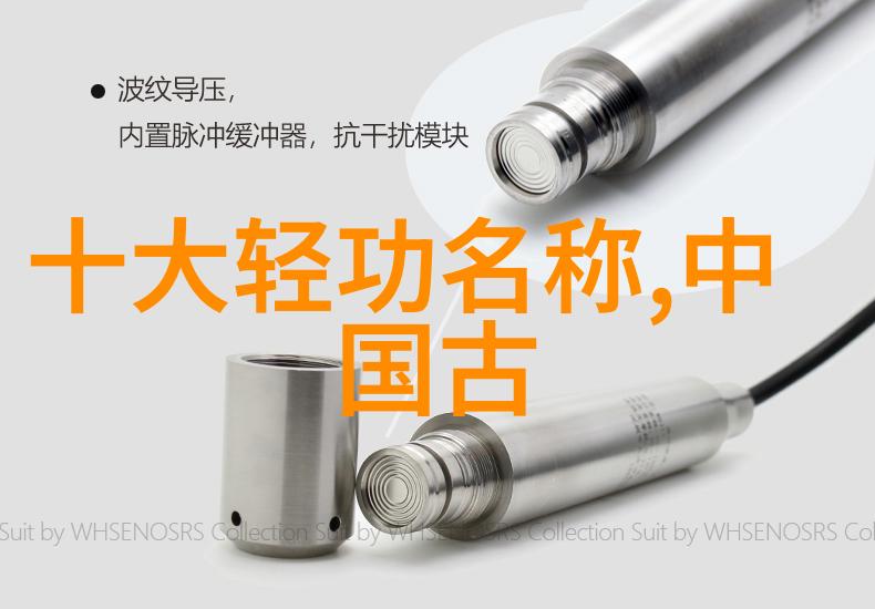 揭秘武术奥义你真的掌握了基本招式吗