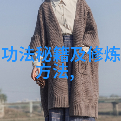 武林秘籍揭秘中华武术的巅峰之作