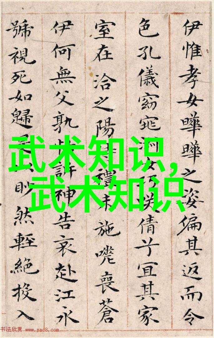 中国武术有多少种拳法揭秘练拳诸病五十例