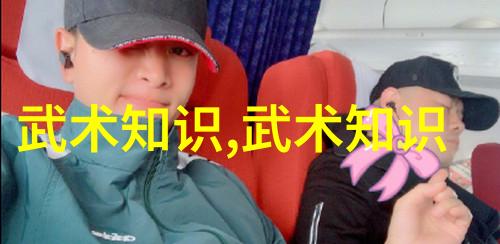 松开的掤劲张志明探讨中国武术中的拳法多样性在社会中的应用