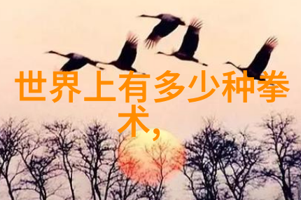 武术初学者必备基础动作拳脚技术基础训练