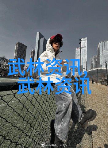中国武术流派的辉煌历史与现代实践