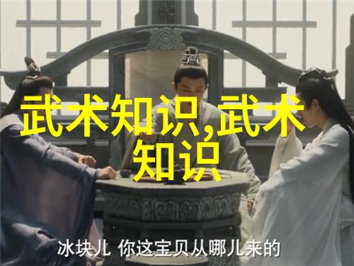 武道精髓十二式内功探秘