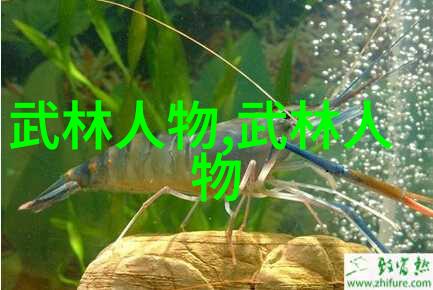 古武秘录隐秘之术