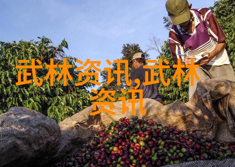 揭秘李小龙功夫之道深度剖析其教学视频中的武术精髓