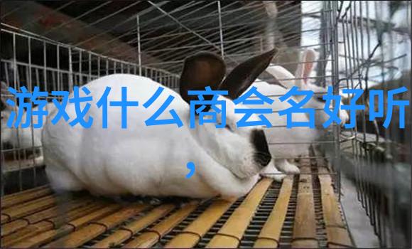 太极拳24式分解动作教学揭秘经典练习的精髓与技巧
