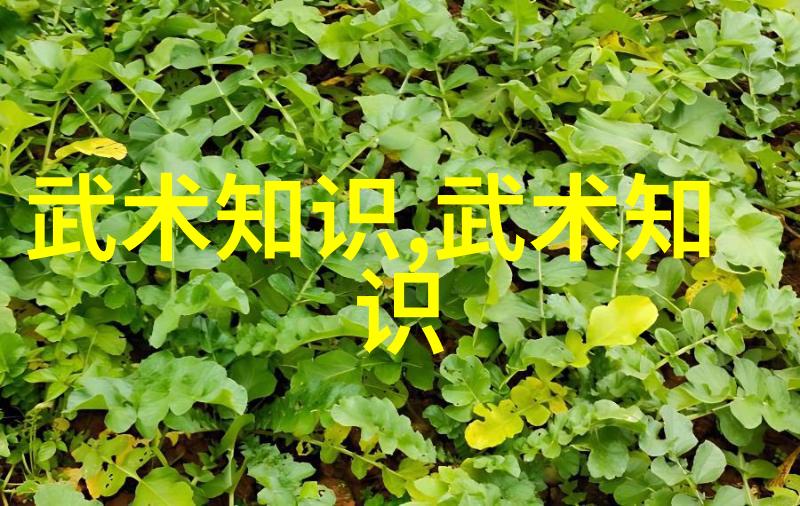 霸道拳尊乾坤门