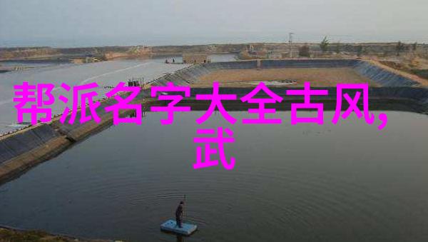 太极拳中的禁练10种气功秘笈揭秘慢与快的内在力量