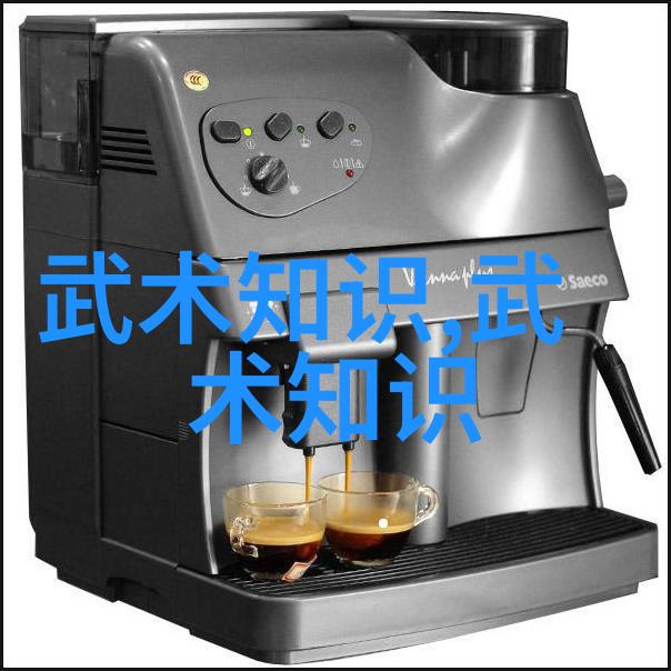 太极拳24式每一式图解视频探索古典武术的精髓