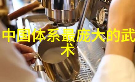 太极拳24式精解一览全貌的名称顺序图解