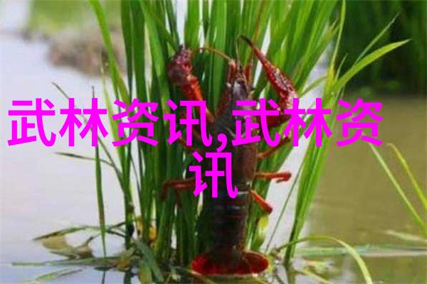 武林中的门派有哪些少林洪门武功仿佛是这片江湖的守护者静静地等待着那些勇敢的心灵前来学习其深邃而精湛的