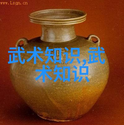 太极拳24式掌握指南一步步的教程与练习方法