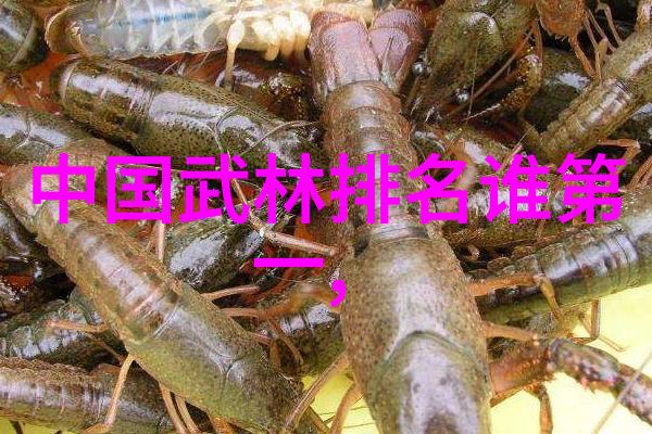 混元太极拳面面观张禹飞冯秀茜诠释武术12基本动作
