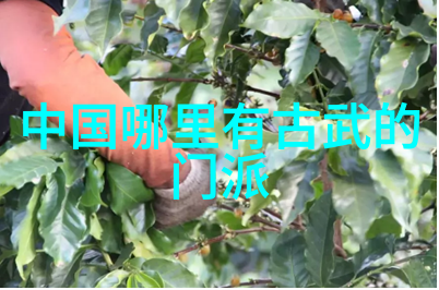解读古代武术训练-高贯发