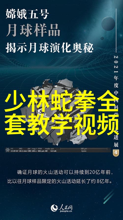 武当山十五代传人之谜揭秘武林中脉络的重要节点