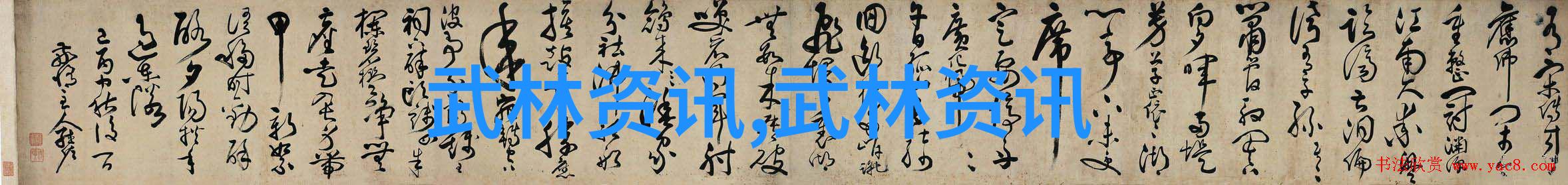太极24式分解式介绍如同古老的字谜需一丝不苟地揭开每一个字的秘密