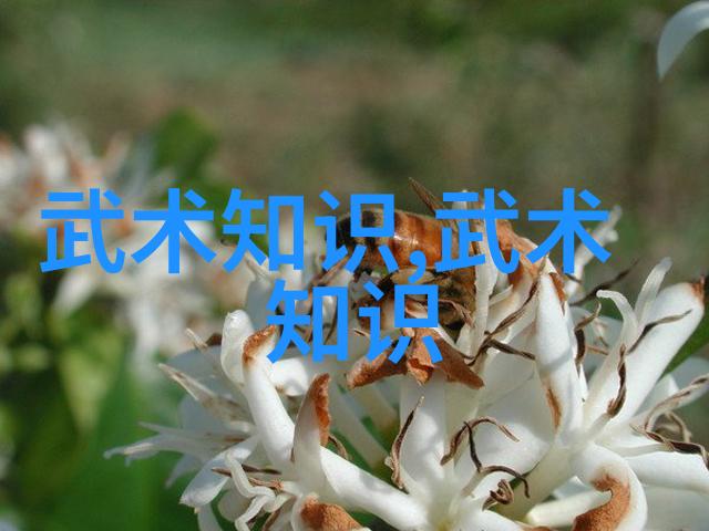 古武功法秘法内力循环气血调和