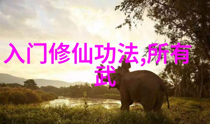英加会师 2013 年女子橄榄球国家杯总决赛中国橄榄球进奥运梦一帆风顺